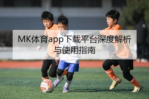 MK体育app下载平台深度解析与使用指南