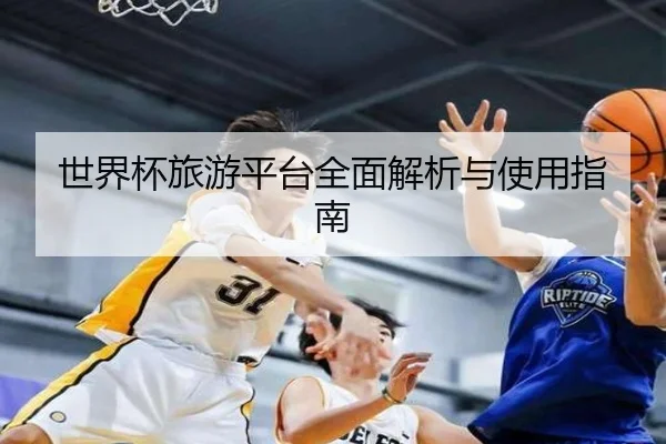 世界杯旅游平台全面解析与使用指南